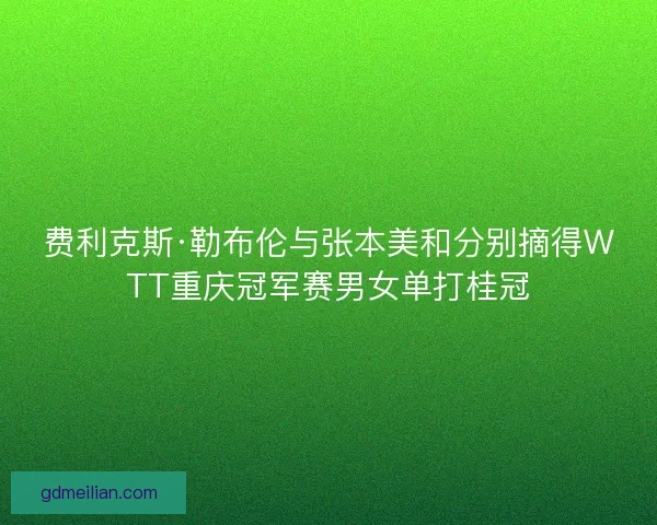费利克斯·勒布伦与张本美和分别摘得WTT重庆冠军赛男女单打桂冠