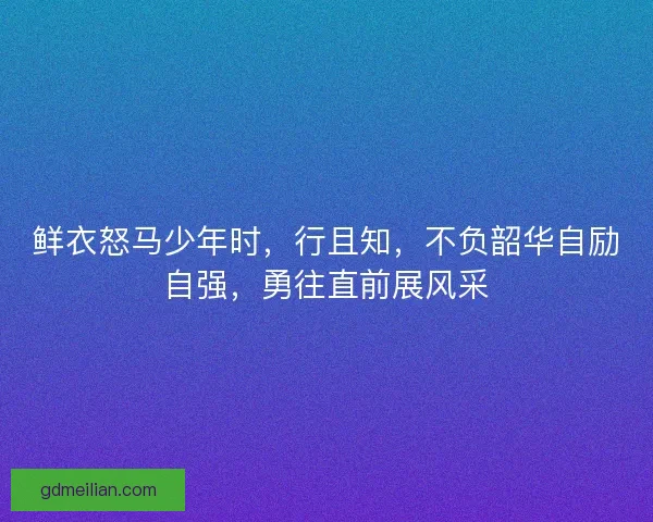 鲜衣怒马少年时，行且知，不负韶华自励自强，勇往直前展风采